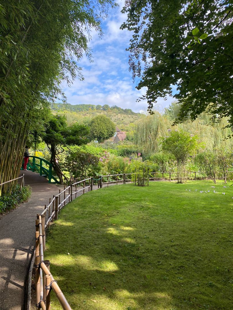 A green path leading to a garden with trees in the background.