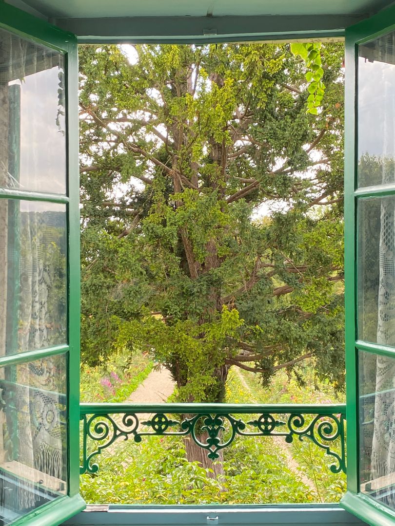 A green window with a view of a tree.