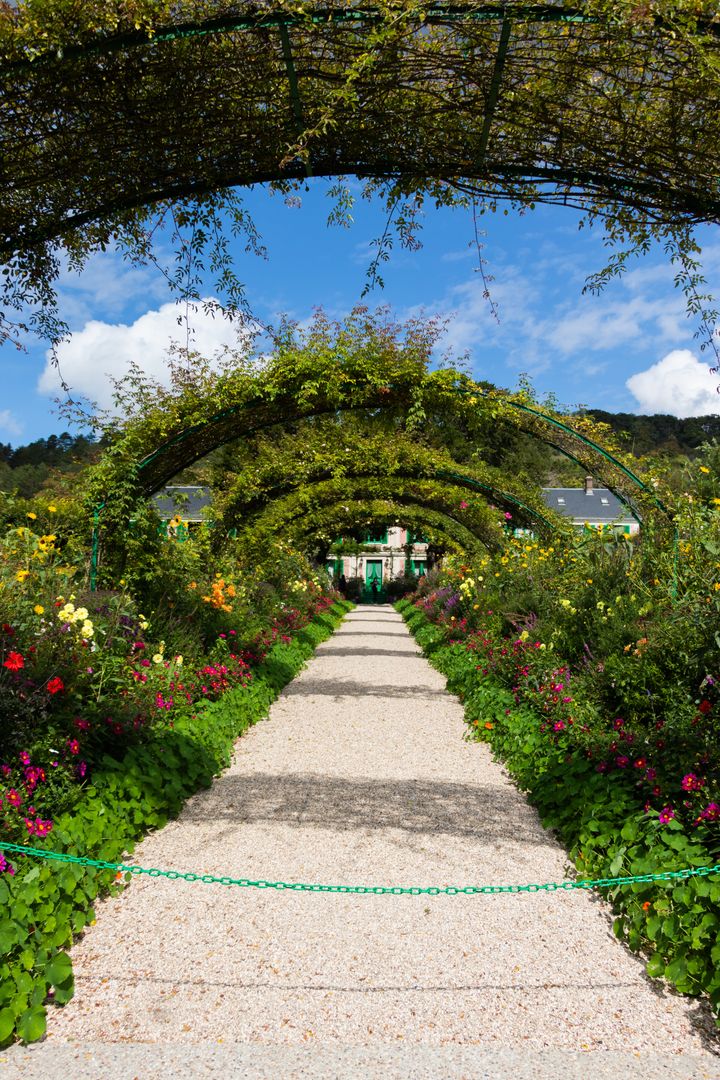 A pathway in a garden.
