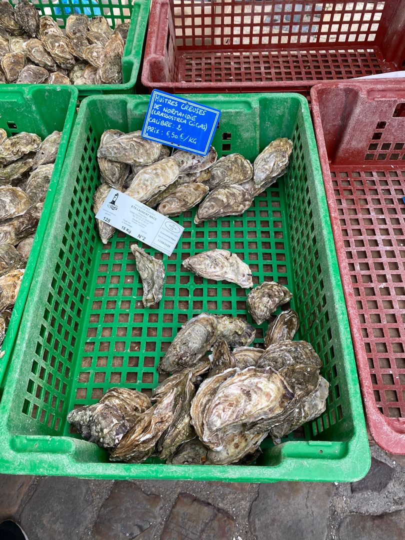 Fresh oysters for sale at a market.