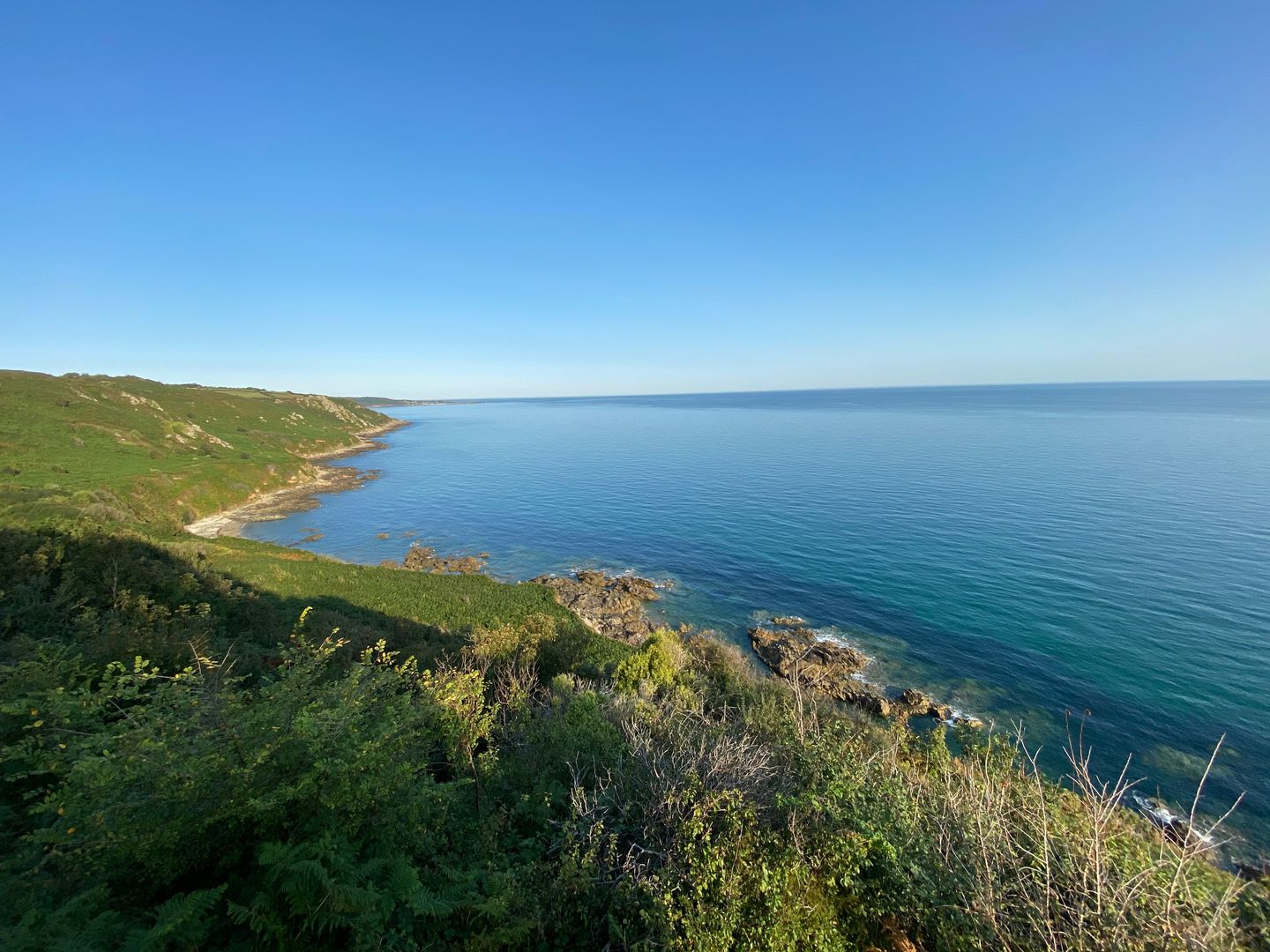 A view of the ocean from a hillside.