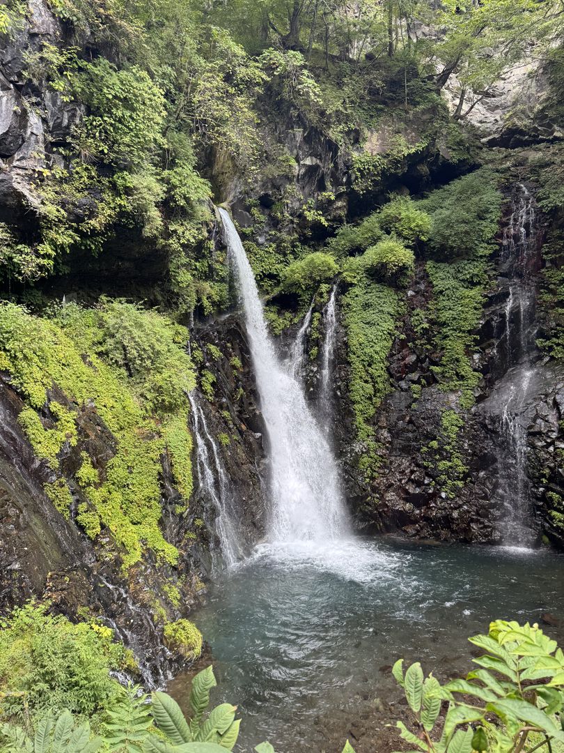 Japan