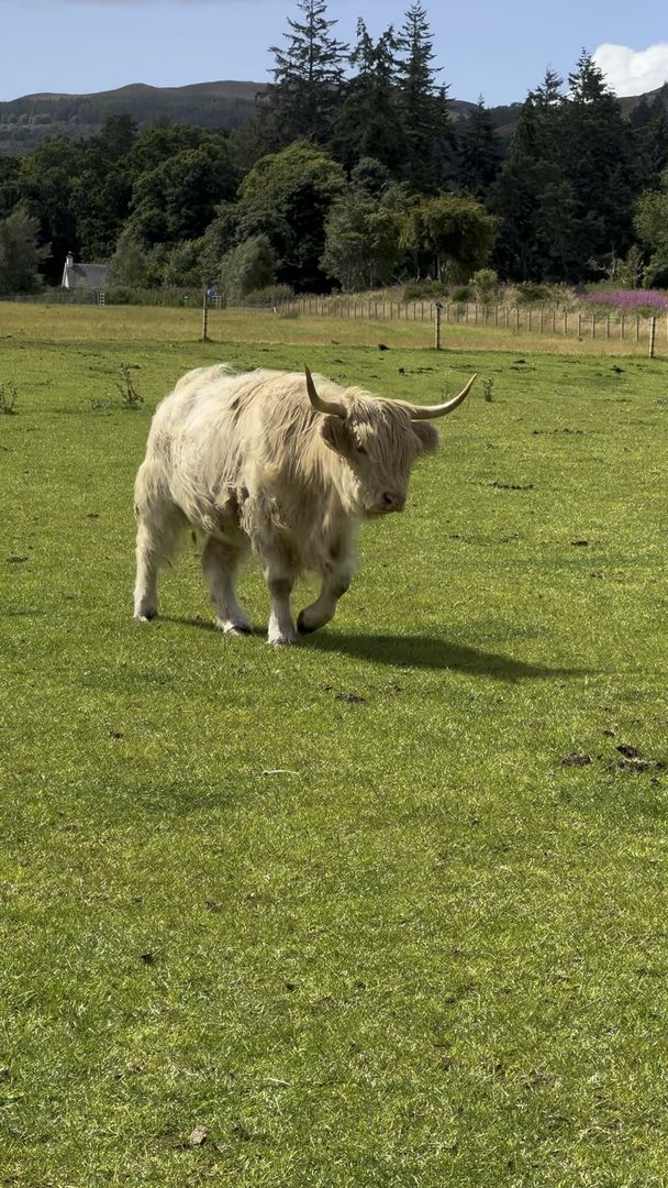 Scotland