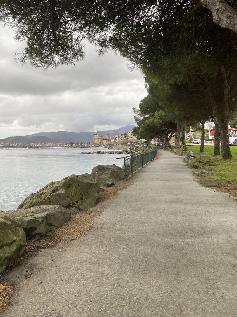 A path leading to the water with trees and rocks.