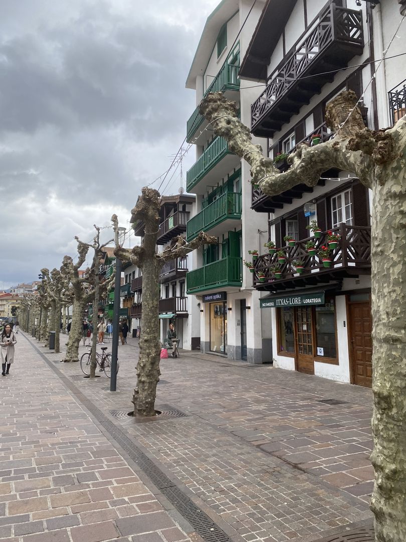 A street lined with trees and buildings on a cloudy day.