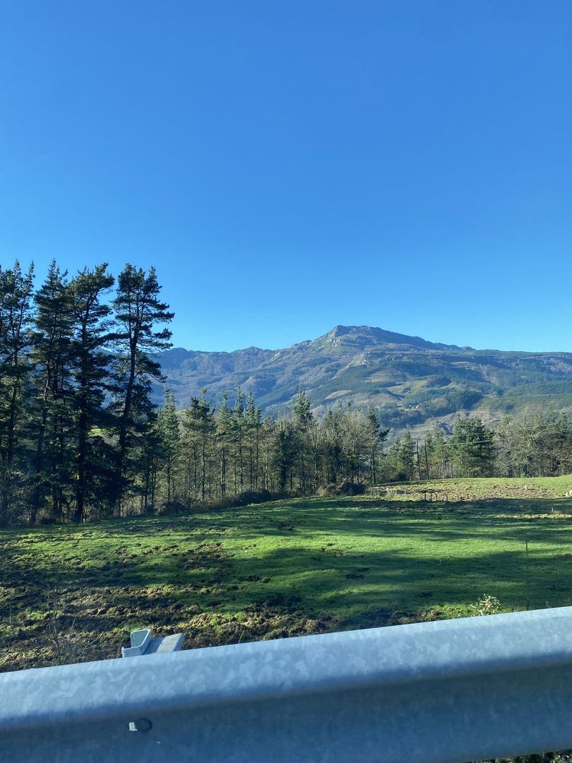 A view of a field with trees and mountains in the background.