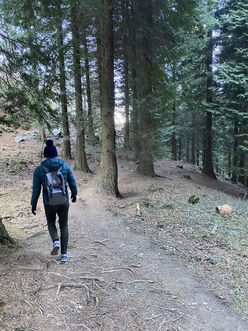 A person walking down a trail in the woods.