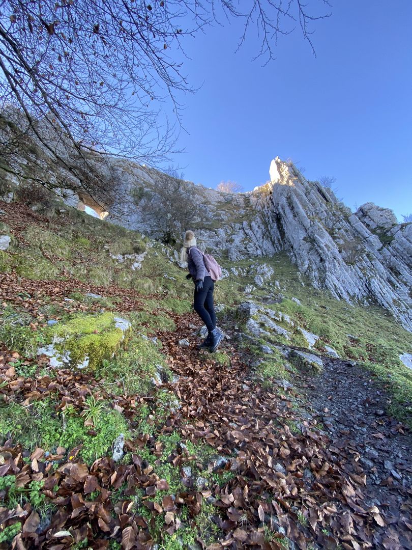 A person walking up a rocky path with leaves on it.