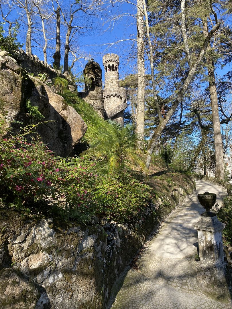 A path leading to a castle in the woods.