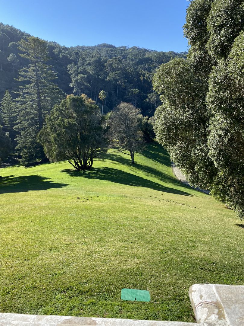 A green grassy field with trees in the background.