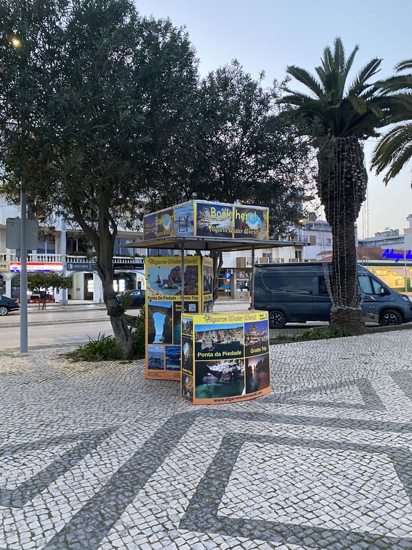 A bus stop in front of a palm tree.