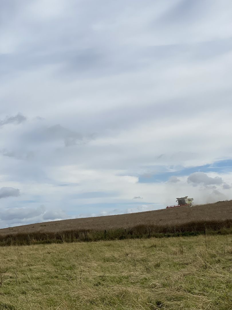 A field with a combine harvester and a cloudy sky.