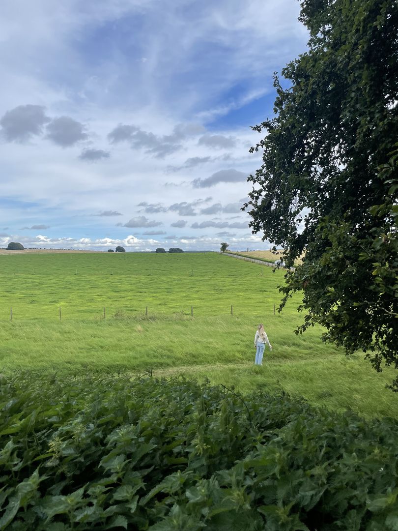 A person walking through a green field with trees in the background.