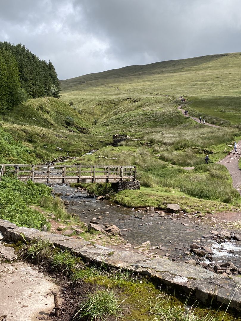 A bridge over a stream in a grassy area.
