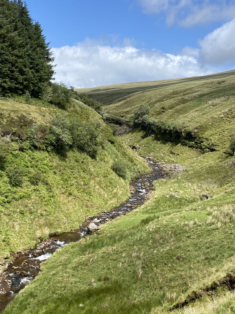 A stream running through a grassy hillside.