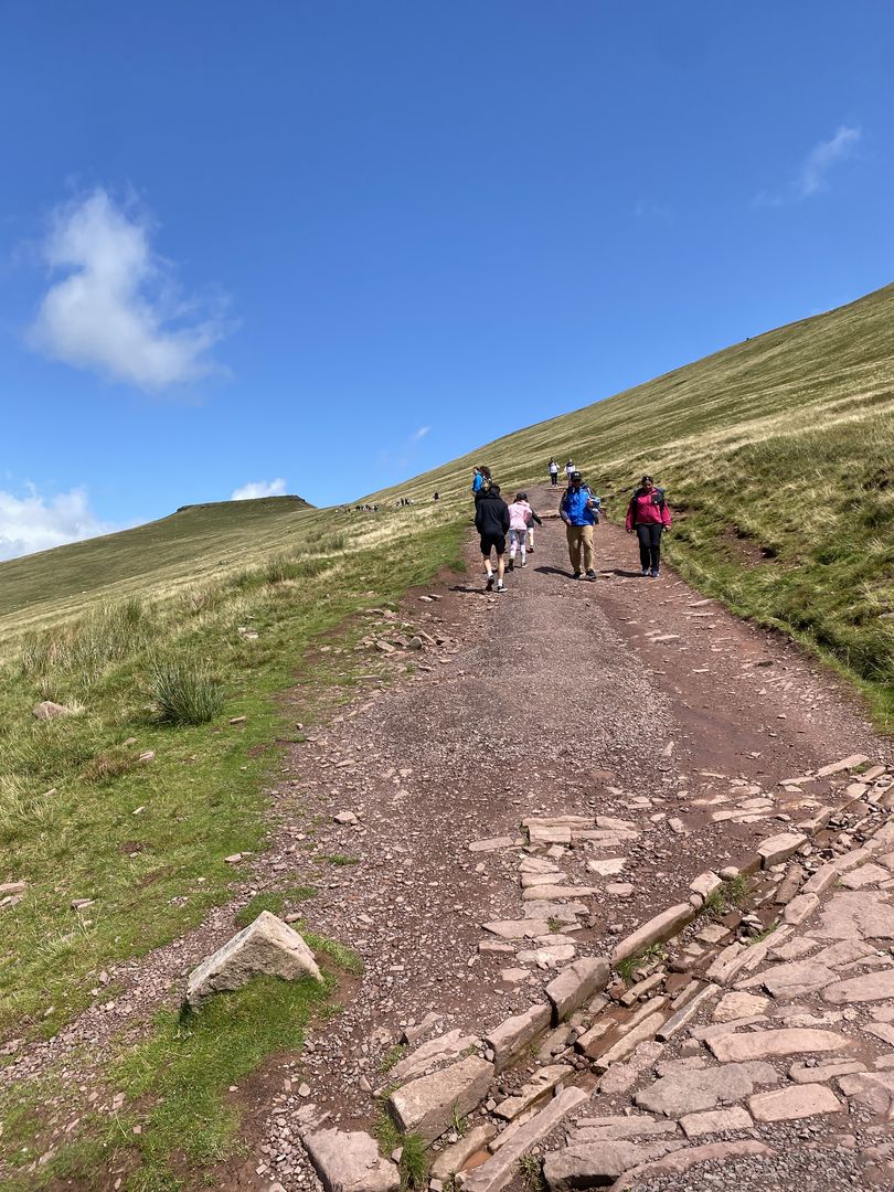 A group of people walking up a path on a hill.