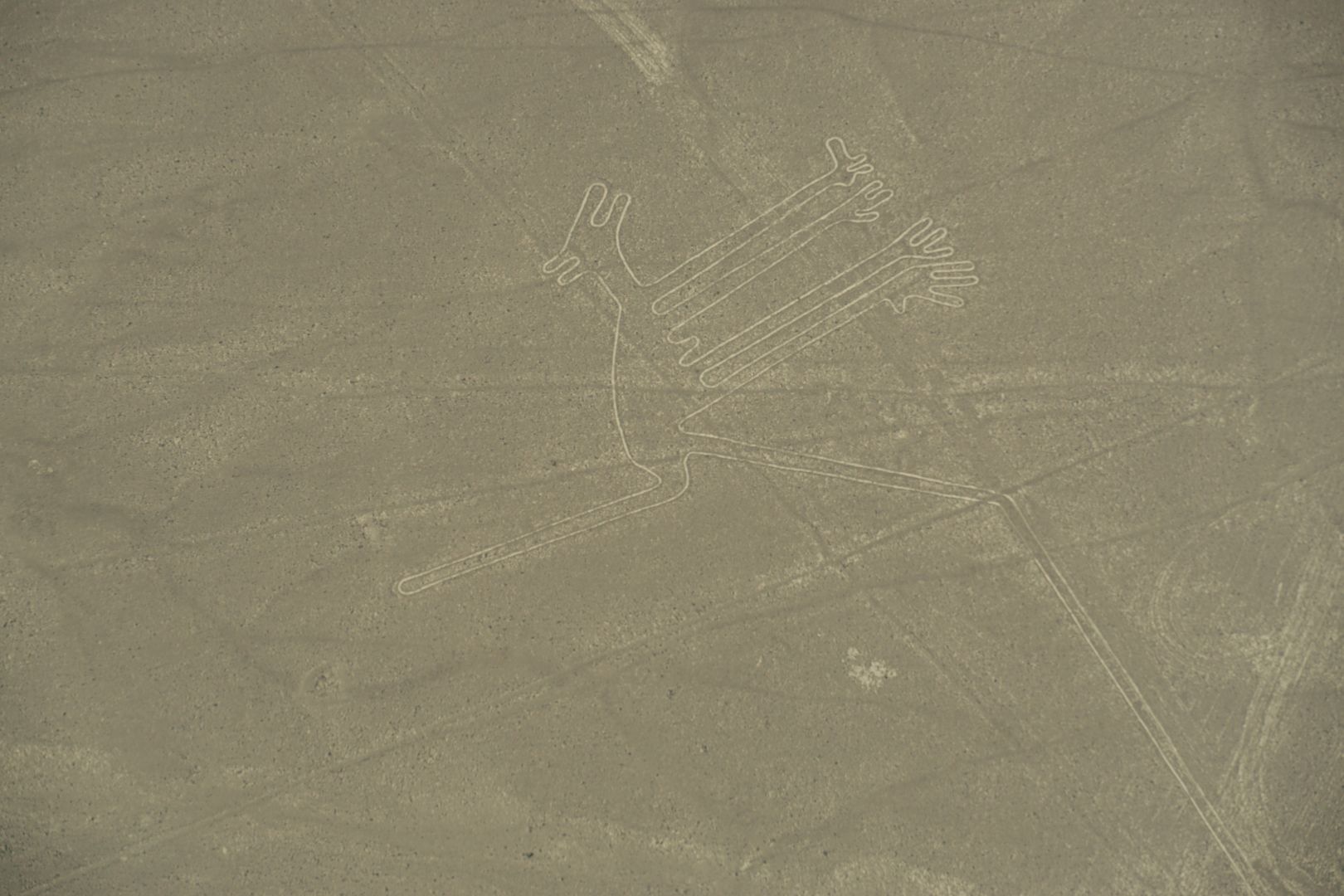 An aerial view of a large number of drawings in the desert.
