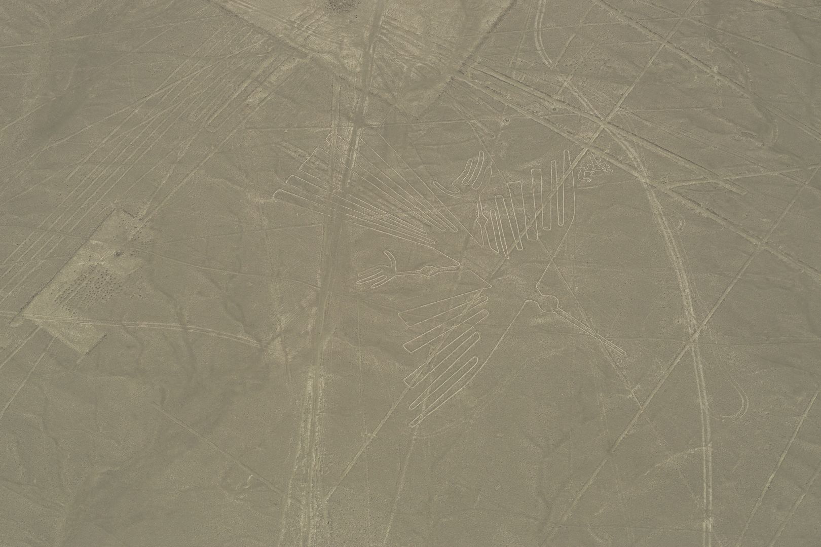 An aerial view of a desert with a large number of lines.
