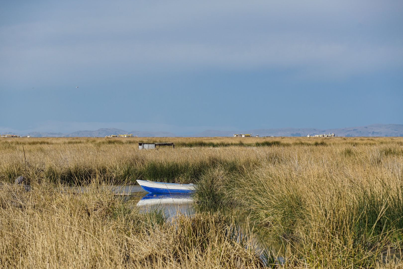 A boat sits in the middle of a field of tall grass.