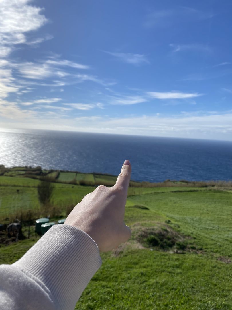 A person pointing to the ocean from a grassy hill.