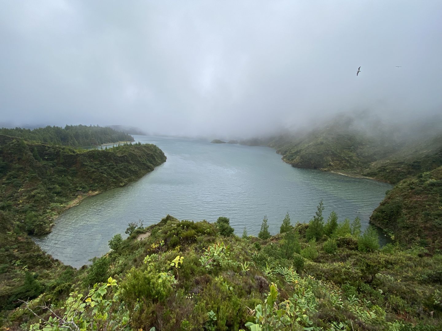 A lake surrounded by trees and a cloudy sky.