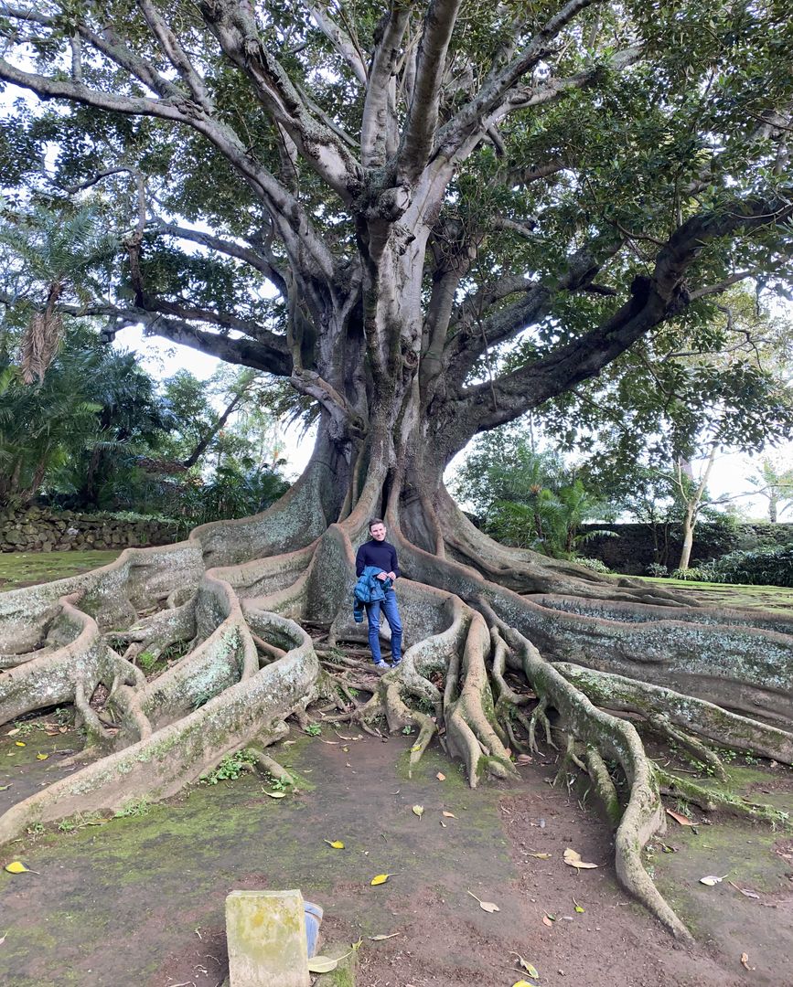 A person standing in front of a tree with large roots.